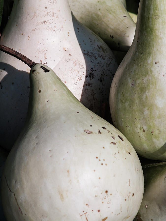 Pears Photograph by Stewart Helberg