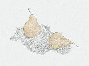 Pears Drawing by Tara Poole