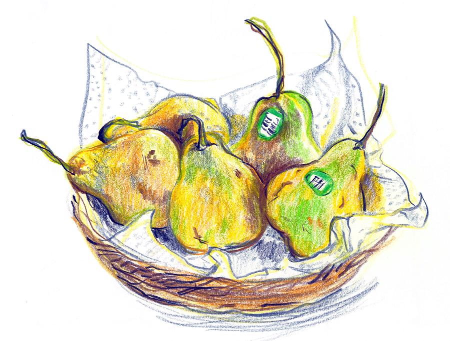 Pear Drawing - Pears with Product Codes by Solveig Singleton