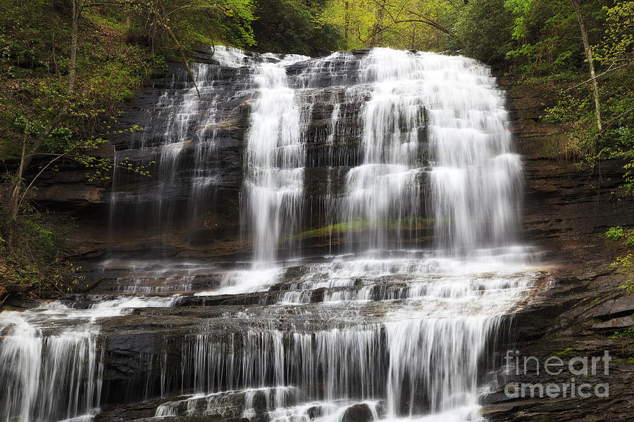 Pearsons Falls in North Carolina Photograph by Jill Lang