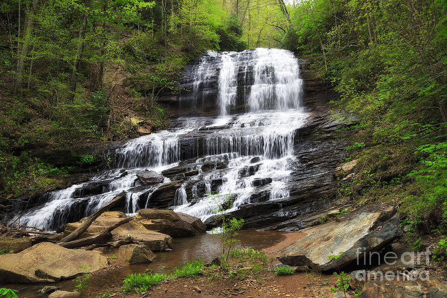 Pearsons Falls In Tryon Photograph