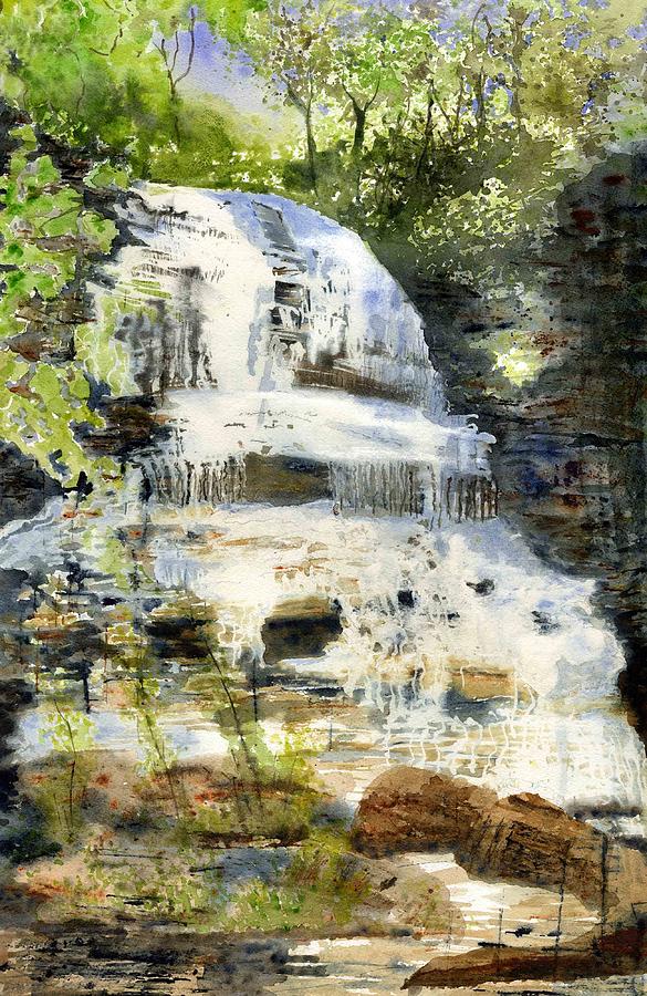 Pearsons Falls Painting by Jane Hayes
