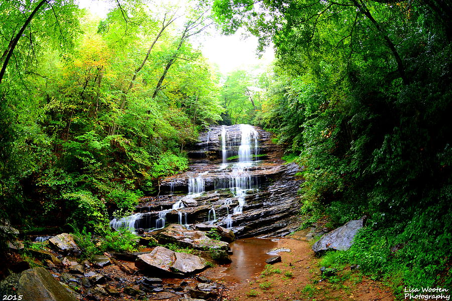 Waterfall Photograph - Pearsons Falls by Lisa Wooten