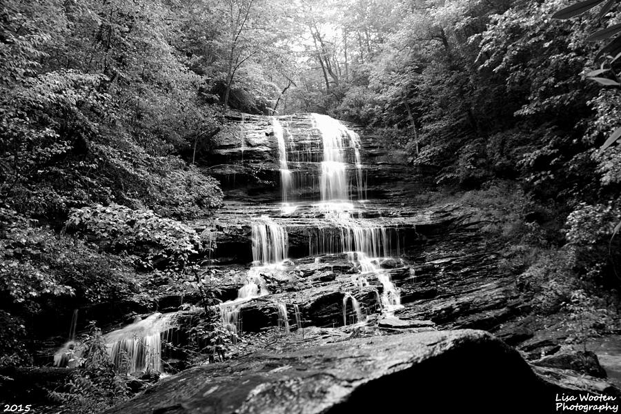 Pearsons Waterfall Black and White Photograph by Lisa Wooten