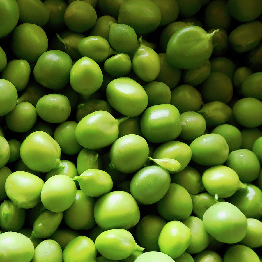 Peas - Fresh From The Pod Digital Art by Leslie Montgomery