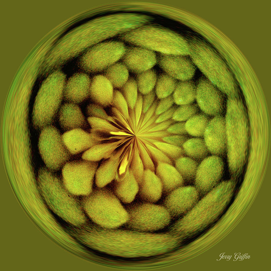 Peas in a Pod Digital Art by Jerry Griffin