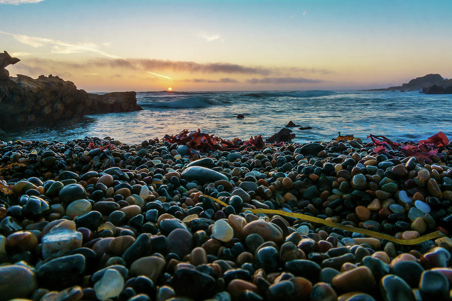 Pebble Beach at Bean Hollow State Beach Photograph by Javier Flores