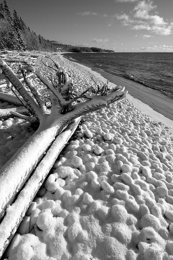 Pebble Beach Winter Photograph by Doug Gibbons