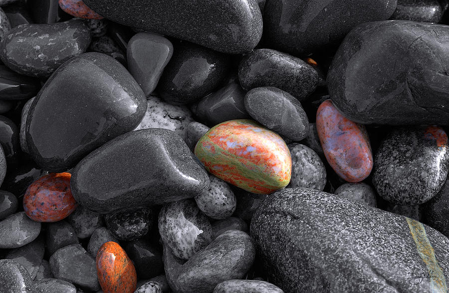 Pebble Jewels   Photograph by Doug Gibbons