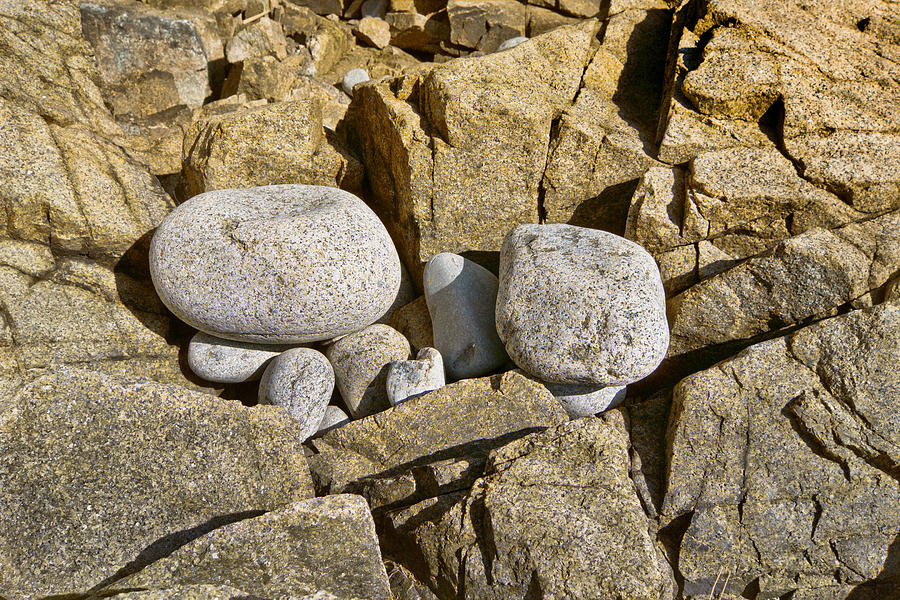 Pebble Pocket Photo Photograph by Peter J Sucy