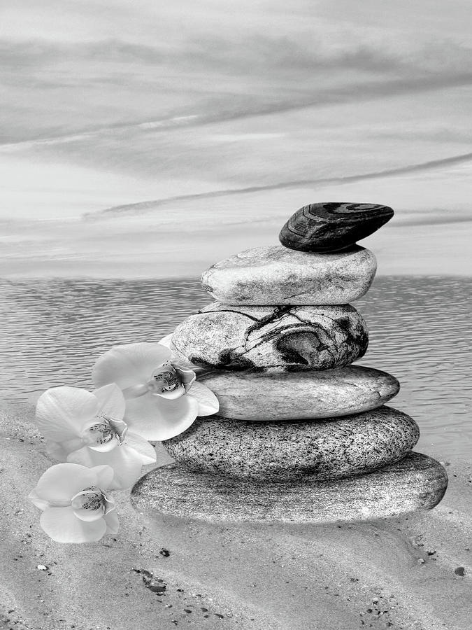 Pebbles and White Orchids at Sunset Black and White Vertical Photograph by Gill Billington