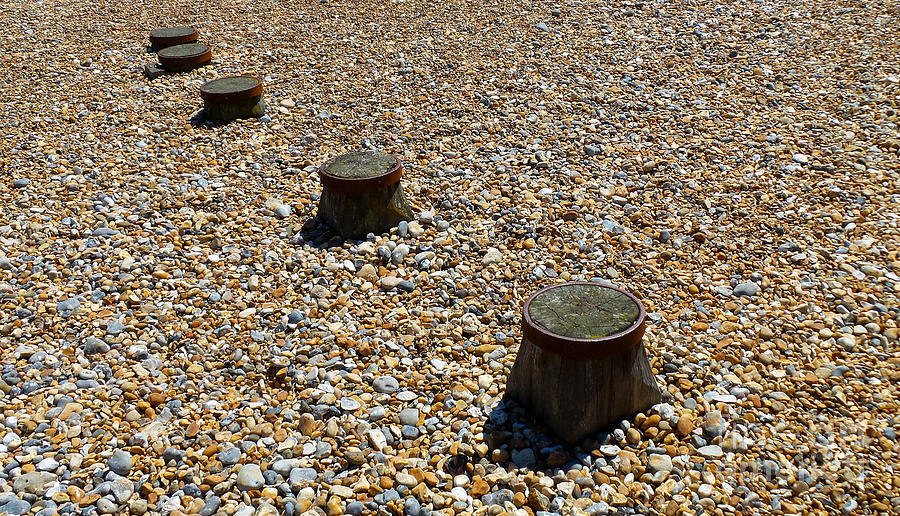 Pebbles and wood Photograph by Francesca Mackenney
