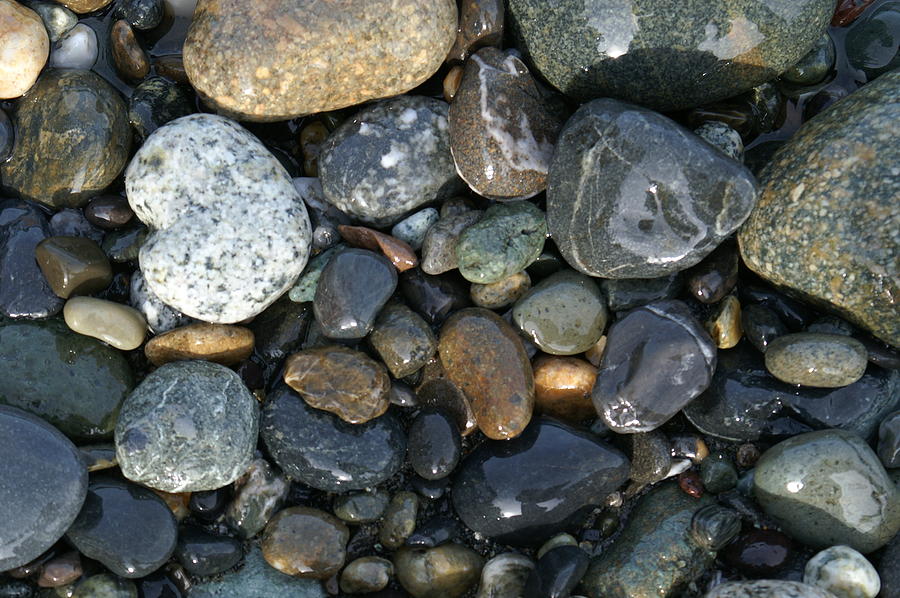 Pebbles Photograph by Henri Irizarri