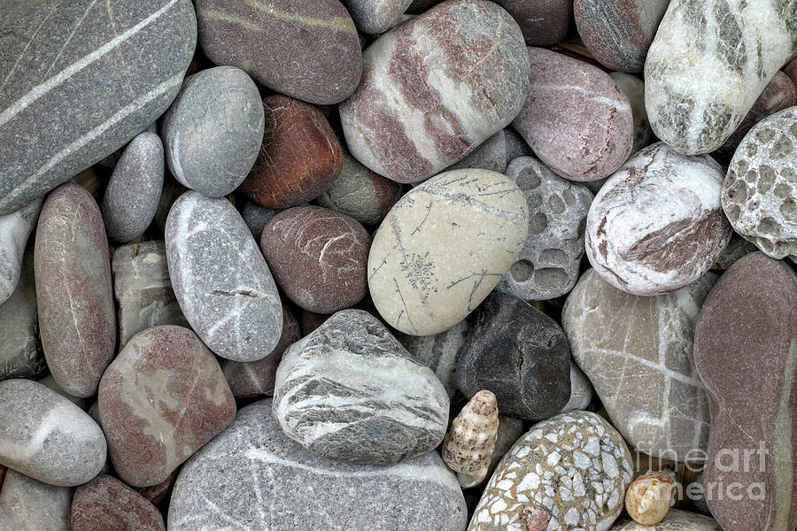 Pebbles in earth colors - stone pattern Photograph by Michal Boubin