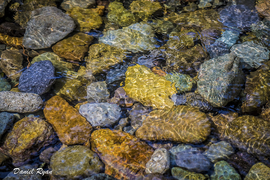 Pebbles in the stream Photograph by Daniel Ryan