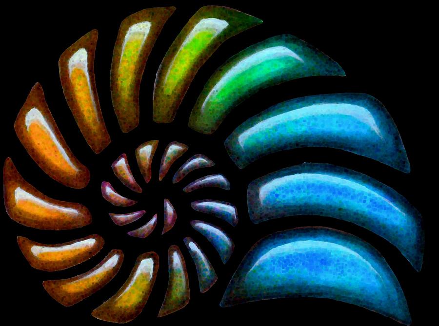 Shell Painting - Pebbles Nautilus Black by Sarah Krafft