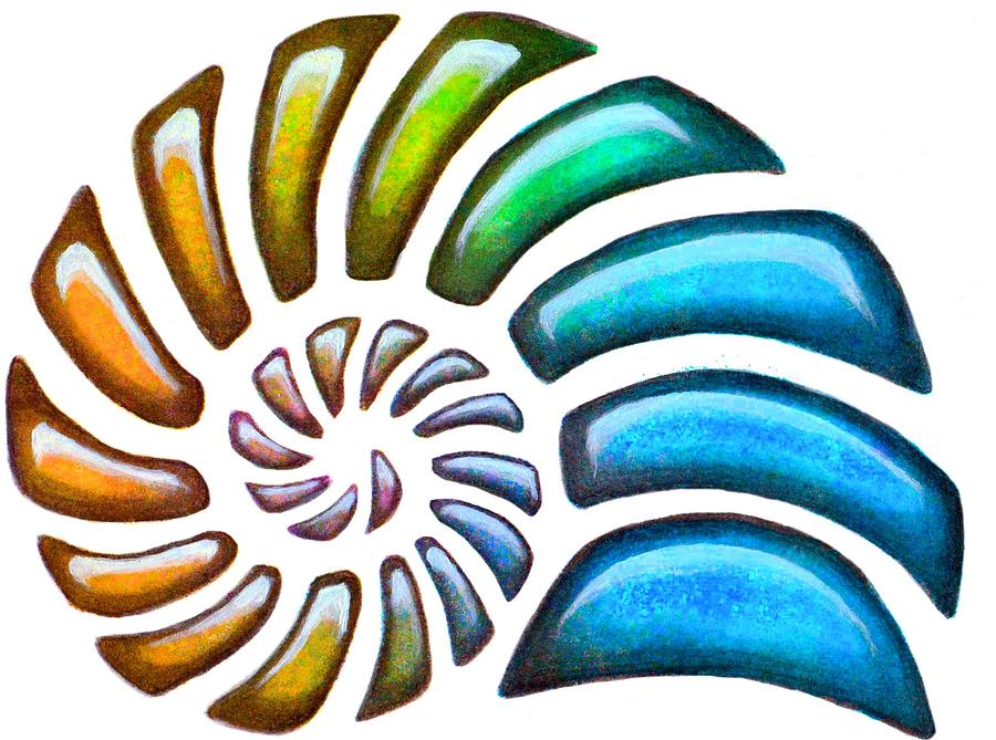 Shell Painting - Pebbles Nautilus by Sarah Krafft