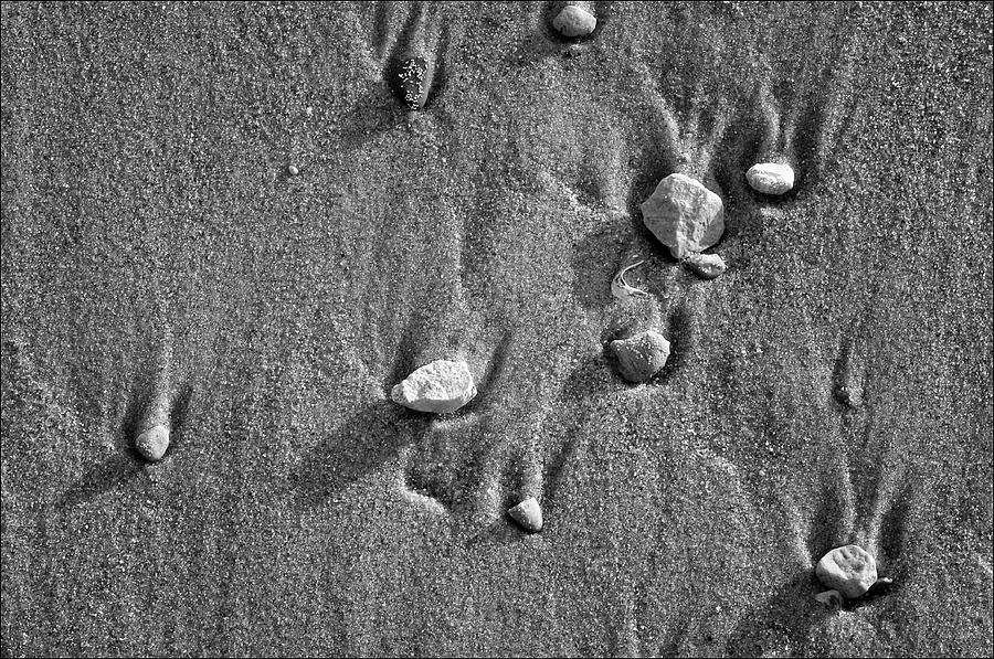 Pebbles on the Beach Photograph by Ward McGinnis | Pixels