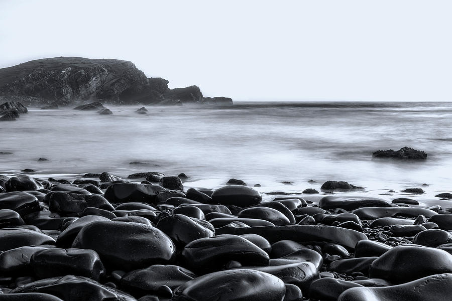 Pebbly Beach in Black and White Photograph by Catherine Reading