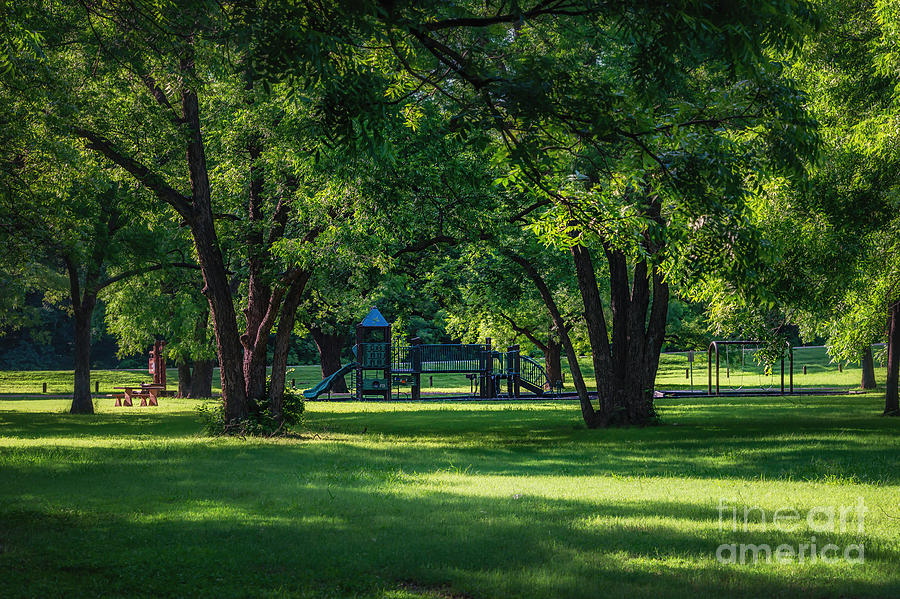 Pecan Grove in Summer Photograph by Tamyra Ayles