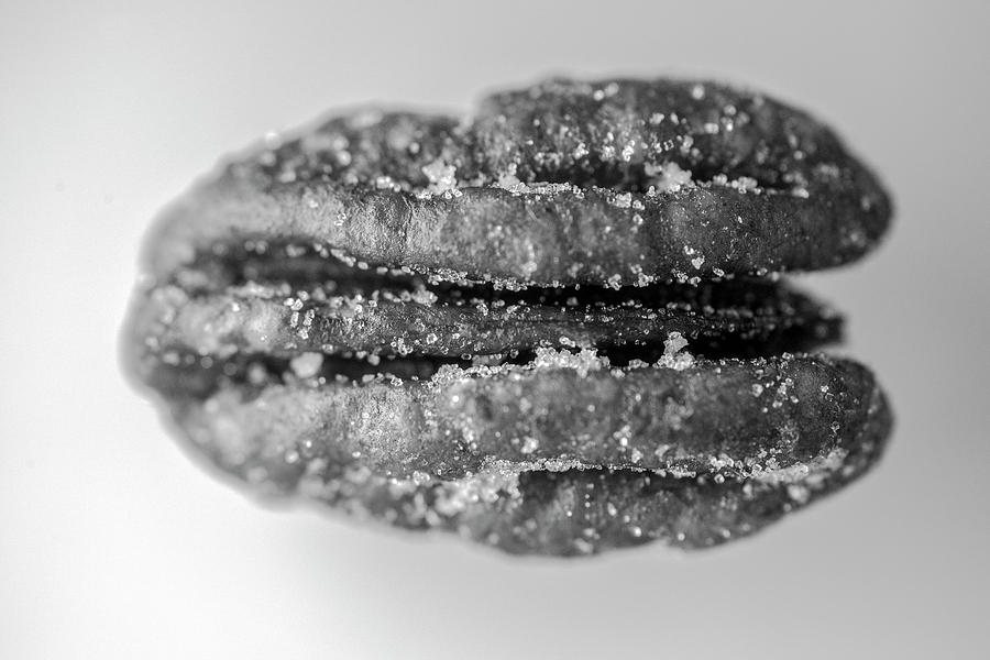 Pecan Nut Macro Black White 2967 Photograph by David Haskett II