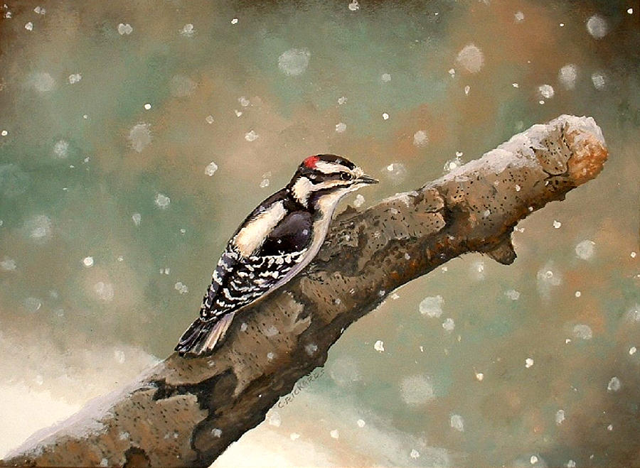 Woodpecker Painting - Pecking Through Rain Sleet and Snow by Carole Rickards