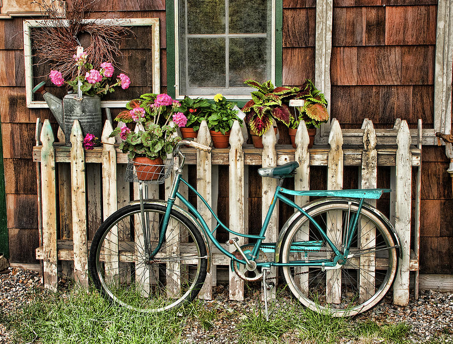 Pedal Pusher Photograph by Joanne Shedrick - Fine Art America