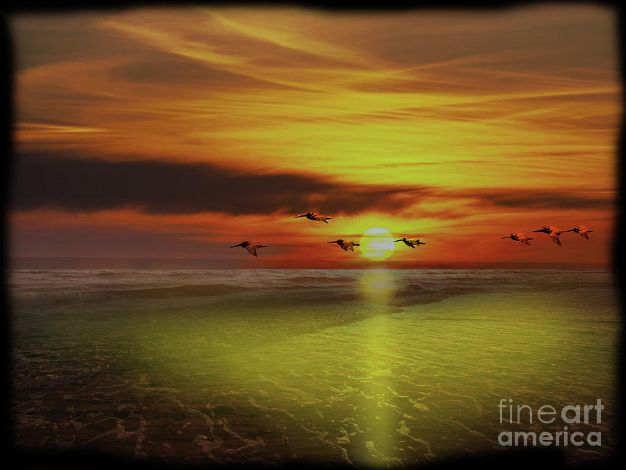 Pedasi Panama Pelicans Soar Into The Sunset Photograph by Al Bourassa