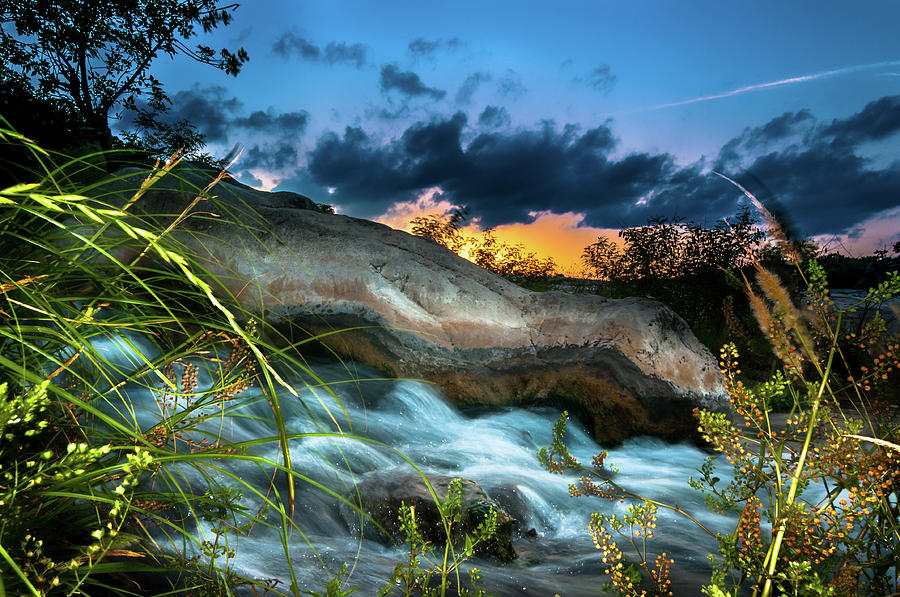 Tree Photograph - Pedernales Falls - 3 by JB Manning