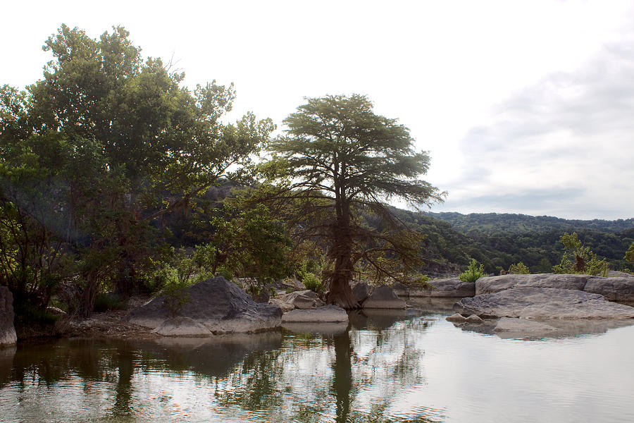 Pedernales falls cyprus trees Photograph by James Smullins