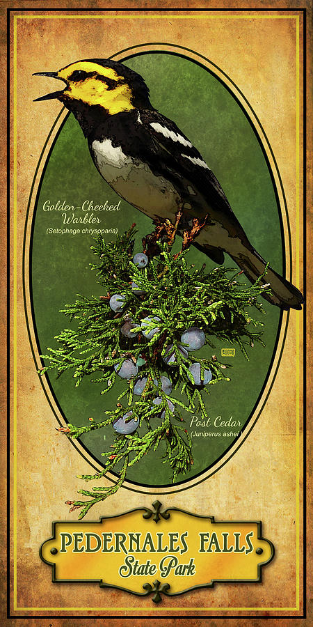 Bird Digital Art - Pedernales State Park by Jim Sanders