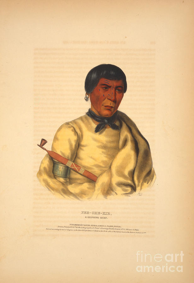 Pee-Che-Kir a Chippewa chief Painting by Celestial Images