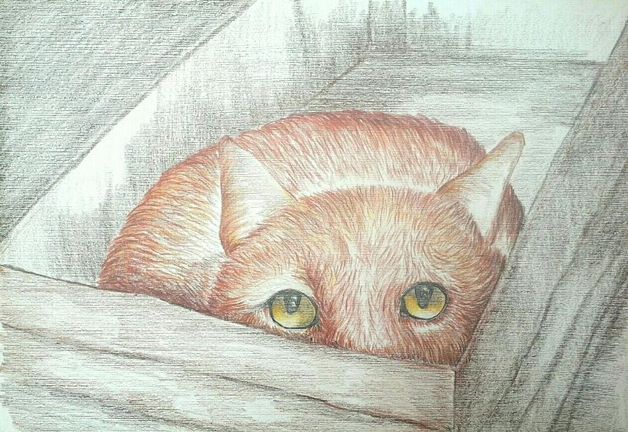 Peek a Boo by Alan Kennedy Peek a Boo by Alan Kennedy