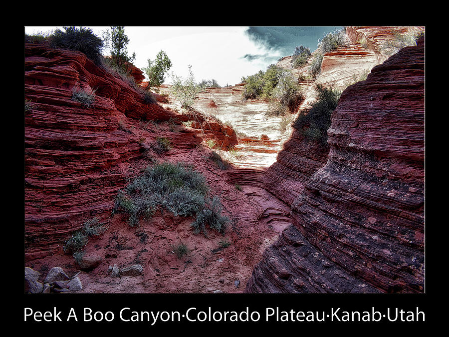 Peek A Boo Canyon 15 Text Black Photograph by Thomas Woolworth