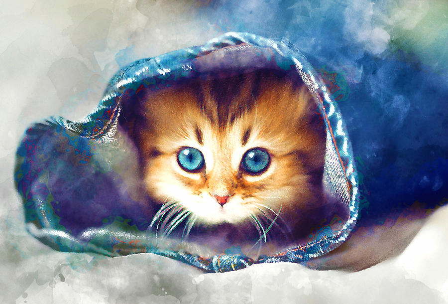 Peek A Boo Kitten Mixed Media by Marvin Blaine