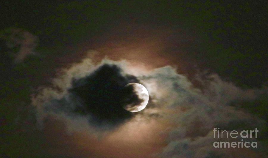 Peek A Boo Moon Photograph by Craig Wood
