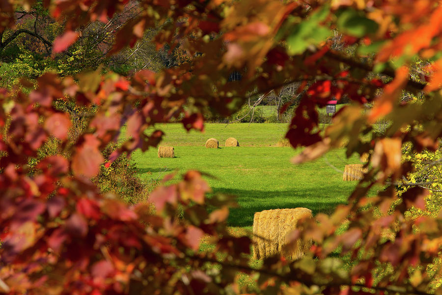 Peek At Fall Colors And Hay Bales Photograph by Jeff Folger