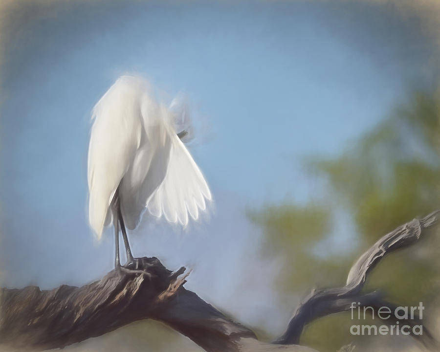PeekABoo Egret Painting by Kerri Farley