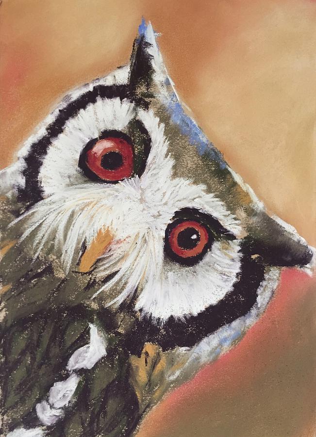 Owl Drawing - Peekaboo Owl by Cristel Mol-Dellepoort