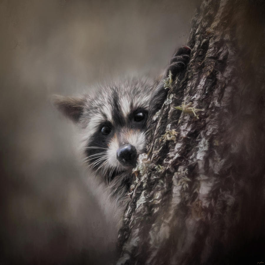 Animal Painting - PeekaBoo Raccoon Art by Jai Johnson