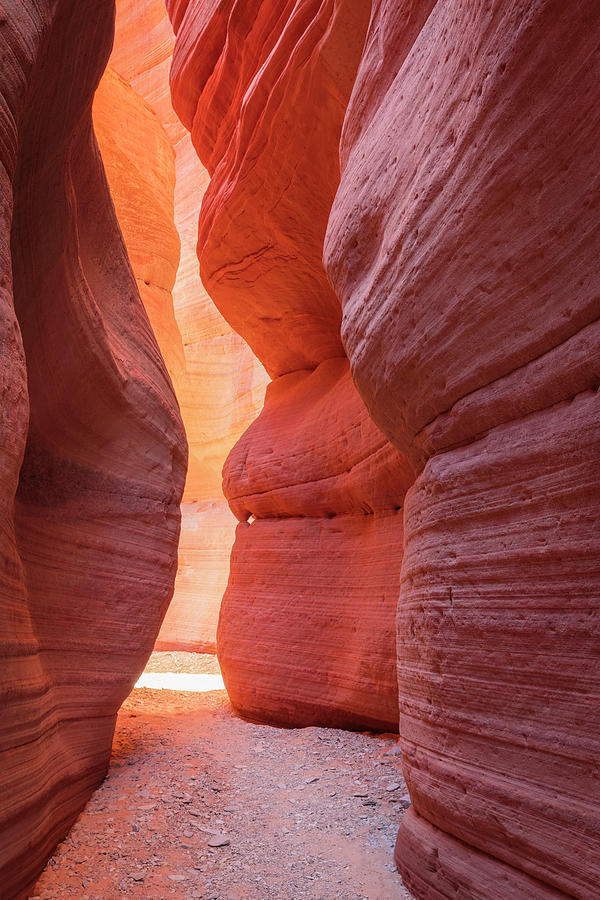 Nature Photograph - Peekaboo Slot Canyon by Wasatch Light