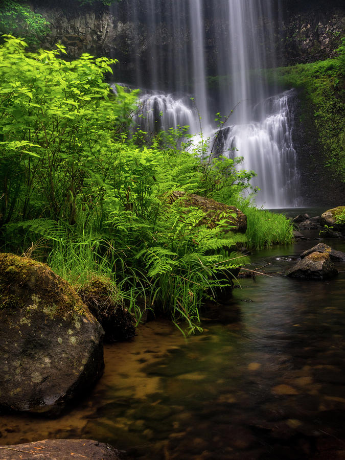 Peeking at Lower South Falls Photograph by Michele James - Fine Art America