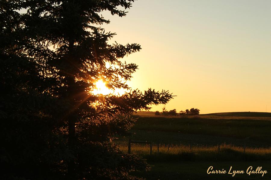 Sunset Photograph - Peeking Sun by Carrie Gallop