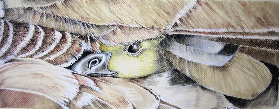 Peeking Through Feathers Pastel by Teresa Smith