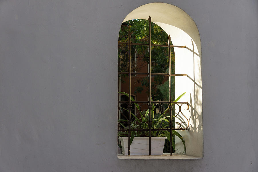 Peeking Through the Garden Fence Window - Geometric Bars and Shadows Photograph by Georgia Mizuleva