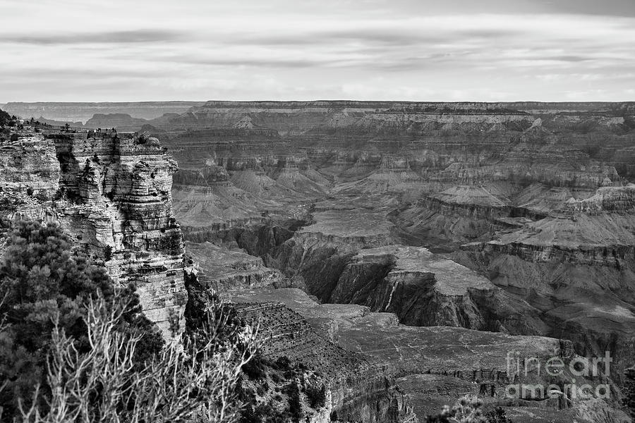 Peeks and Valleys Grand Canyon Black White  Photograph by Chuck Kuhn