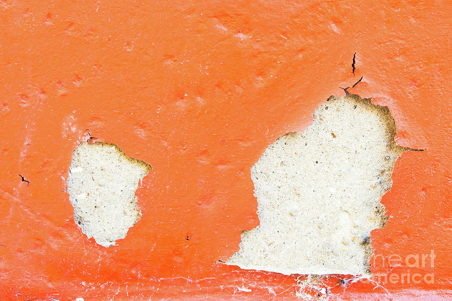 Peeling orange paint  Photograph by Tom Gowanlock