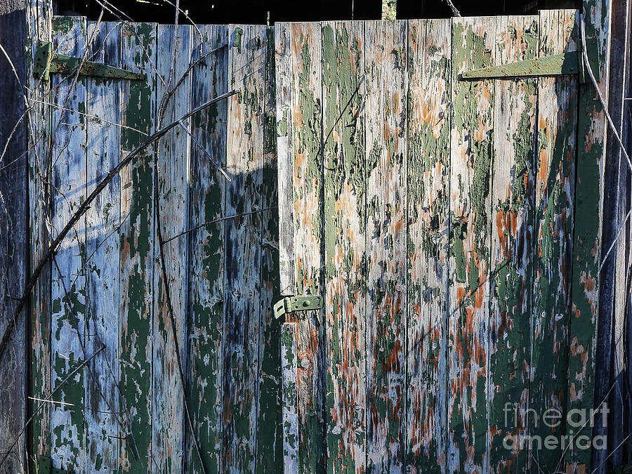 Peeling Paint on Rural Shed Door Photograph by Lexa Harpell