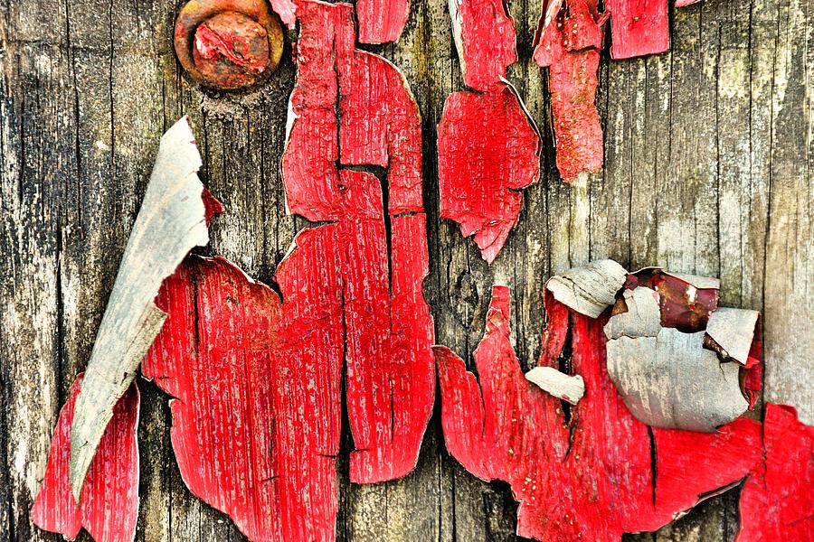 Peeling Paint Abstract Photograph by Lisa Wooten