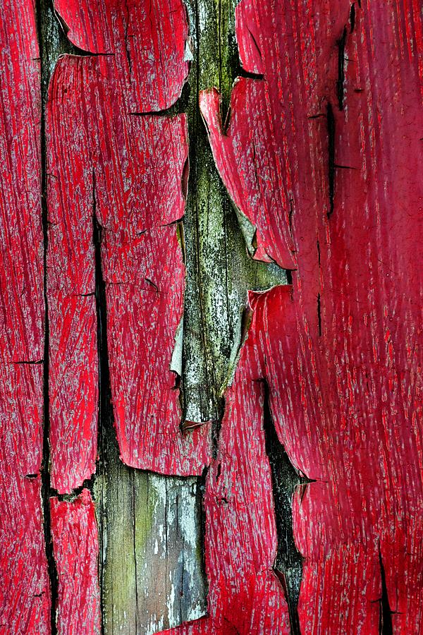 Peeling Paint Abstract Vertical Photograph by Lisa Wooten
